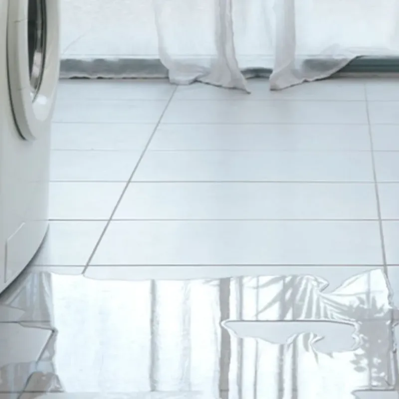Appliance Leak Cleanup in Carey, OH