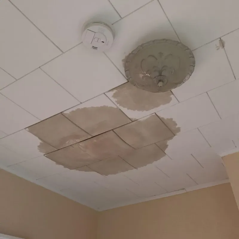 Ceiling Water Damage Repair in Carey, OH