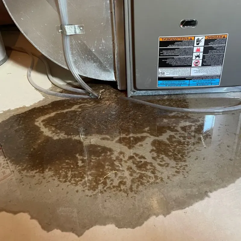 Pipe Burst and Leak Restoration in Carey, OH