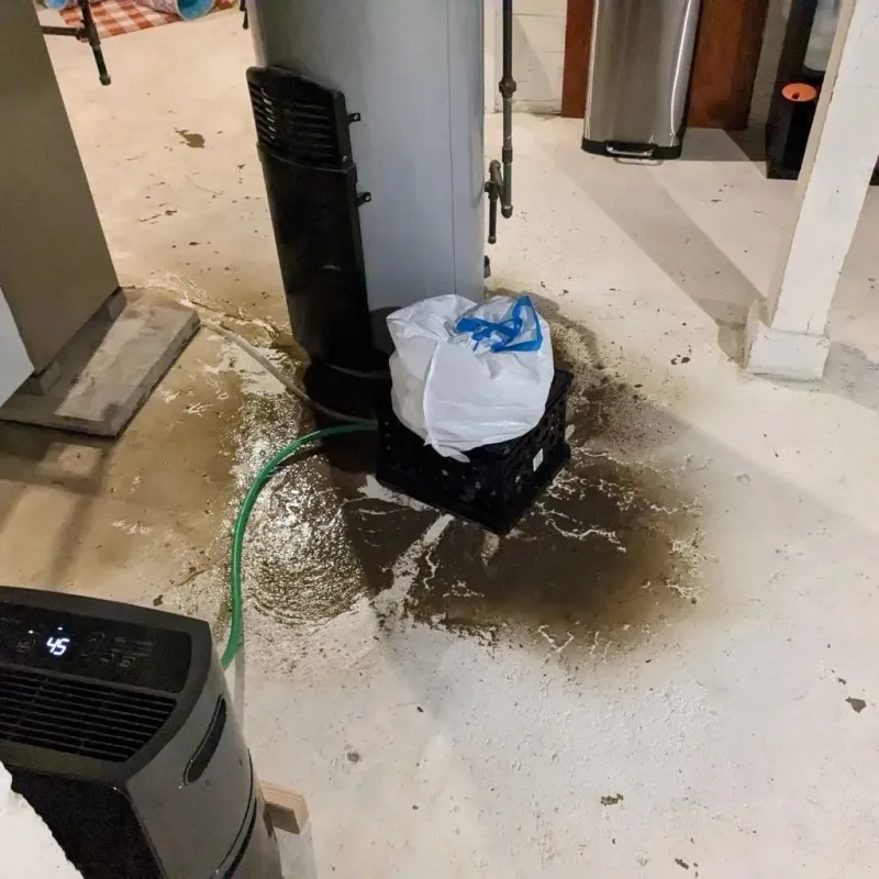 Sewage Backup Cleanup Service in Carey, OH